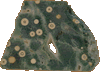jaspe orbiculaire